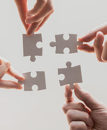 安徽五星果品有限公司【官方網站】